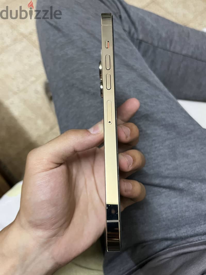 Apple - iPhone 13 Pro Max 1