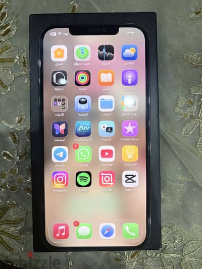 Apple - iPhone 12 Pro Max