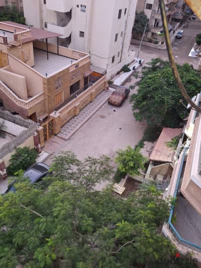 شقه مميزه للبيع بالإسكندرية العجمي شطي النخيل ٦اكتوبر الكيلو٢١ اسكندرية مطروح