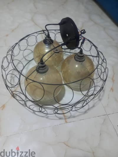 نجف موردن