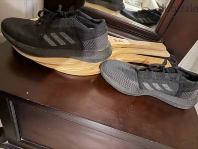 adidas new shoes