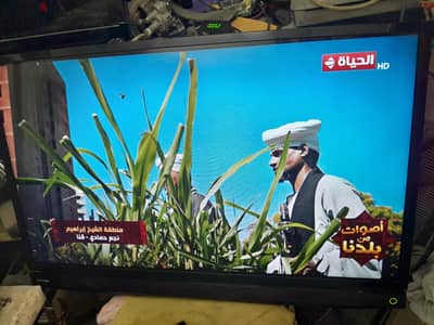 شاشة توشيبا  ٣٢ بوصة. led