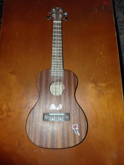 electric / acoustic ukulele chard with bag original