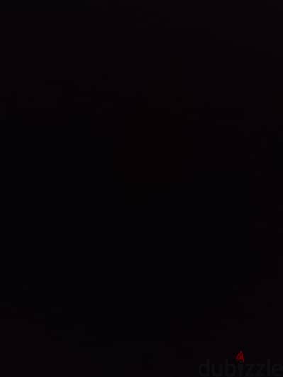 عايز كلب للتبني01000100