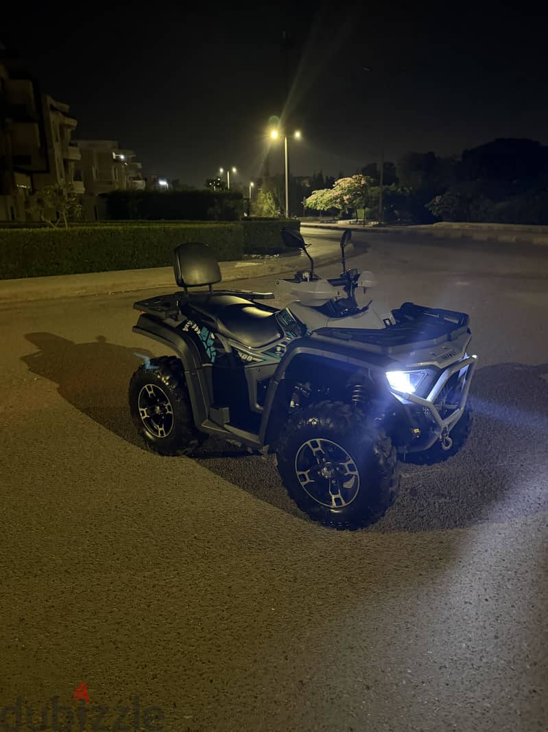 Beach buggy 8