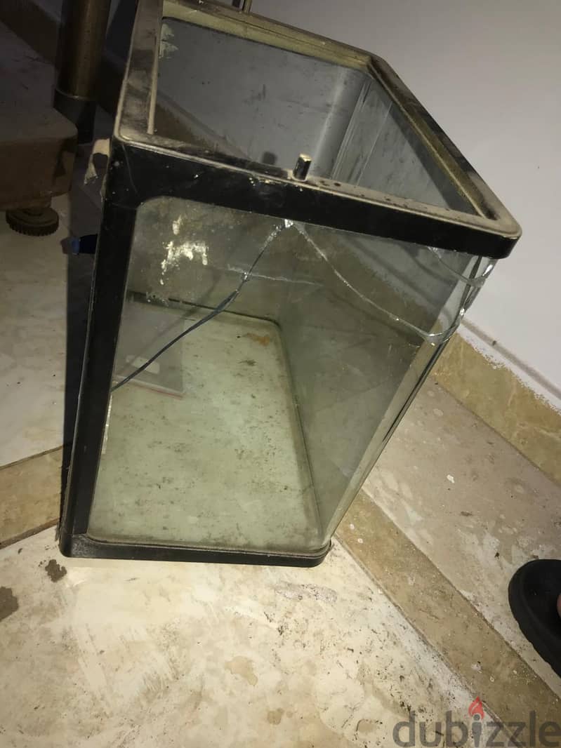 حوض سمك 4