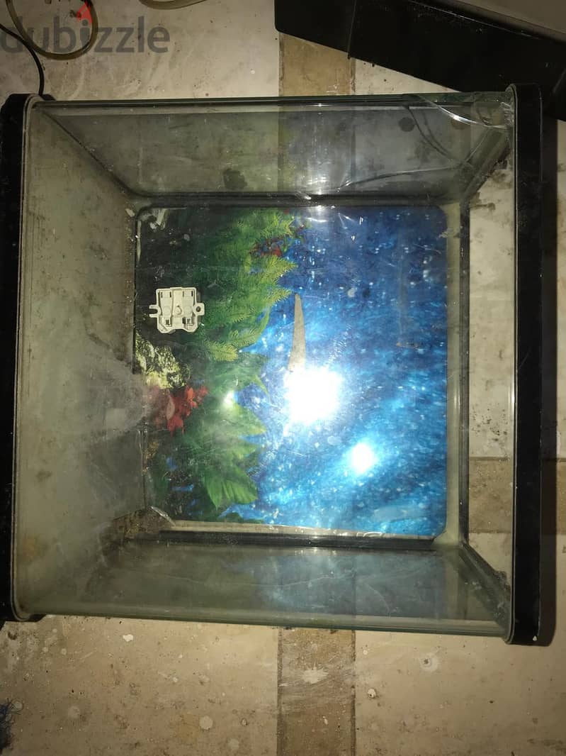 حوض سمك 5