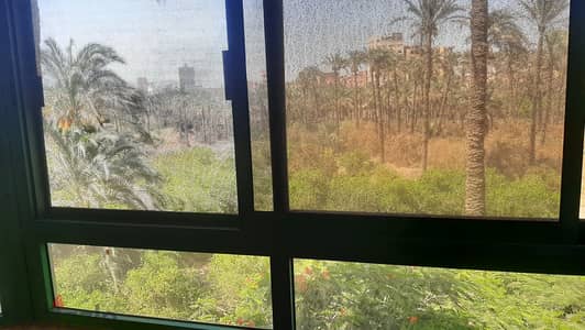 شقة في فيصل في مكان مميز