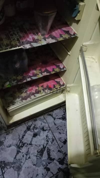 ثلاجه ايديل 8 قدم حاله ممتازه بس حصل تسريب زيت اثناء نقلها