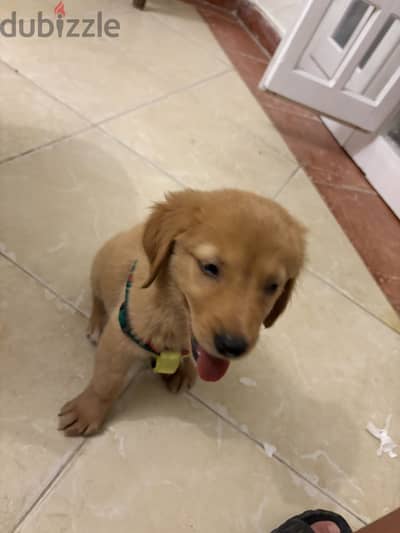 Her name is lucy