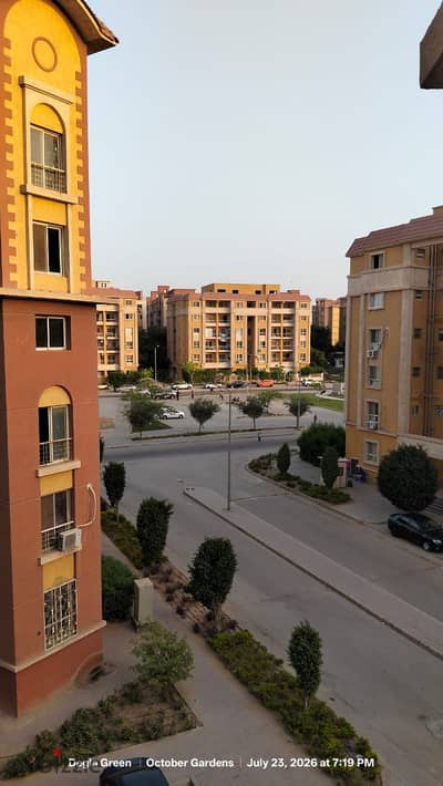 كومباوند دجله بالمز