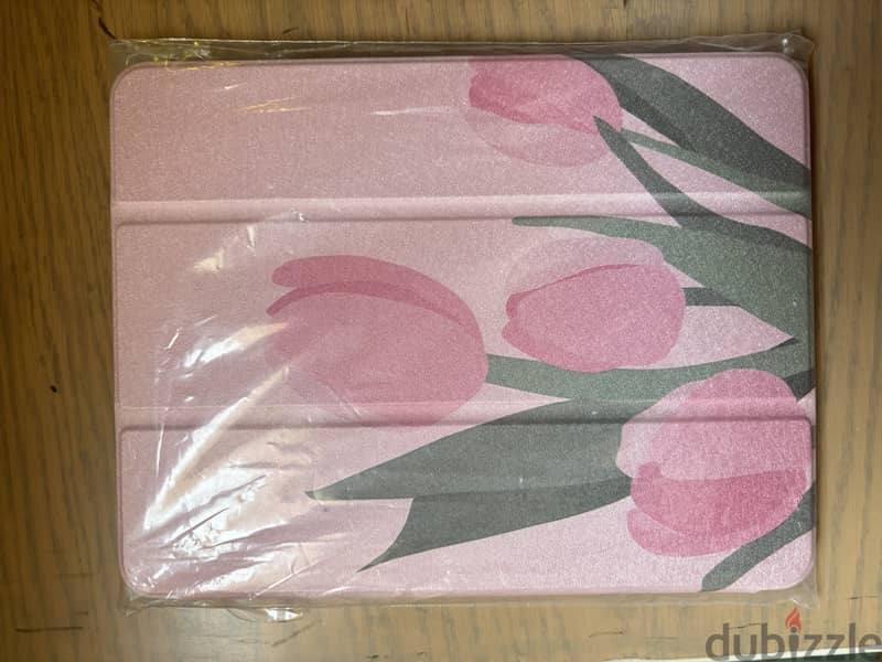 iPad cases 1