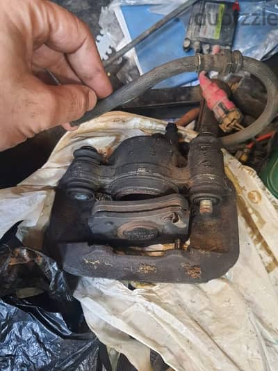 طمبورة وماستر عجل امامى