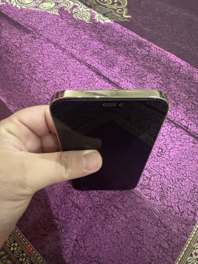 Apple - iPhone 12 Pro Max