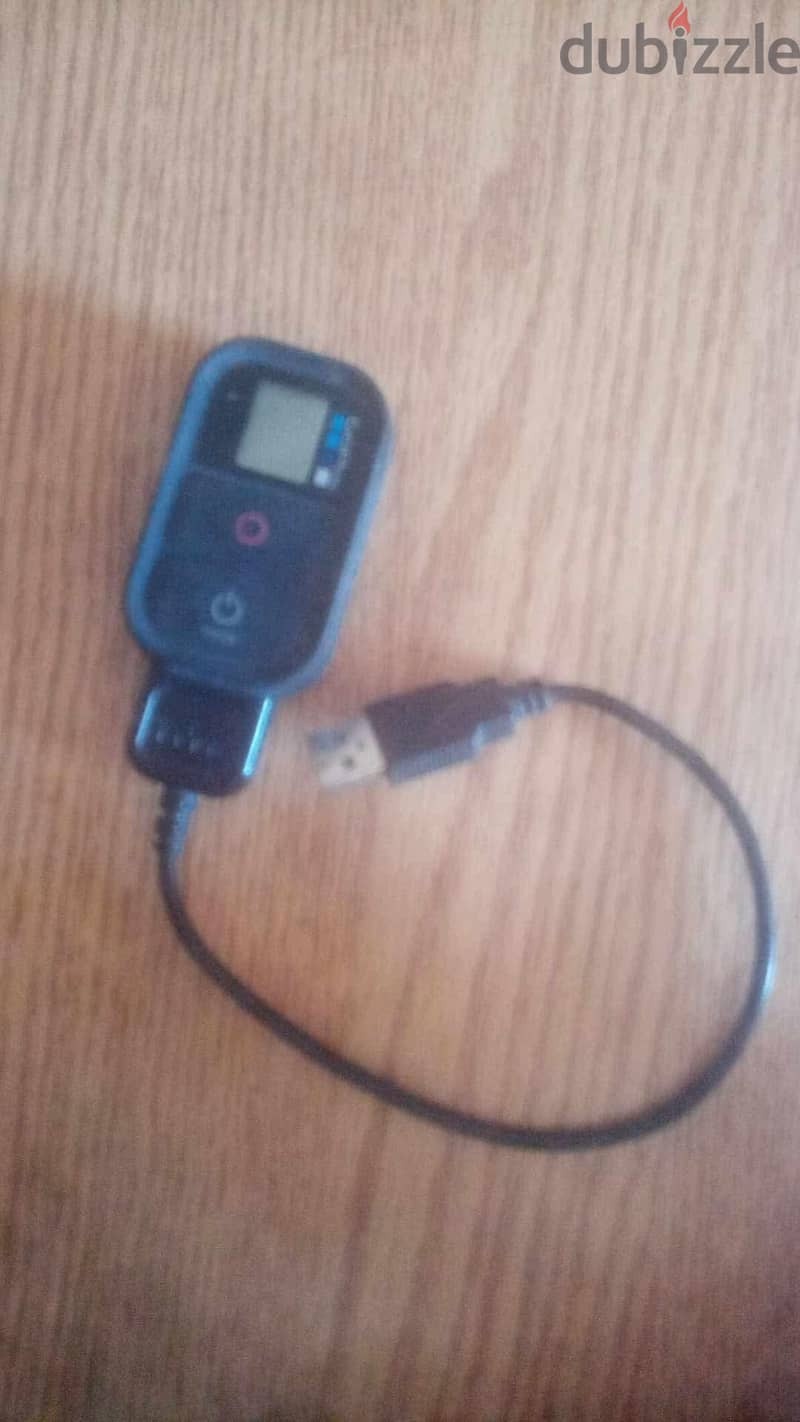 Goproo 1