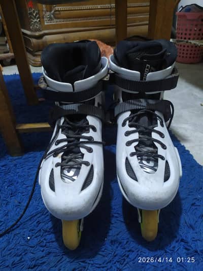 skate cougar 307
