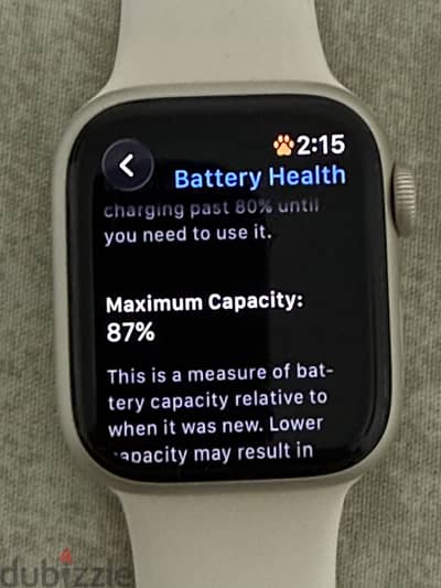 Apple Watch Series 7