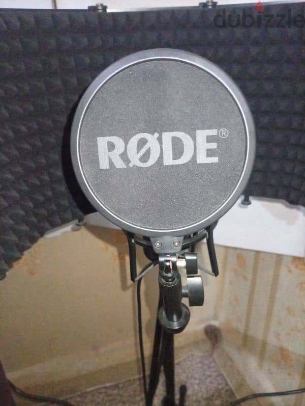 Rode nt1 2