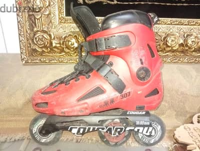 gogar 307