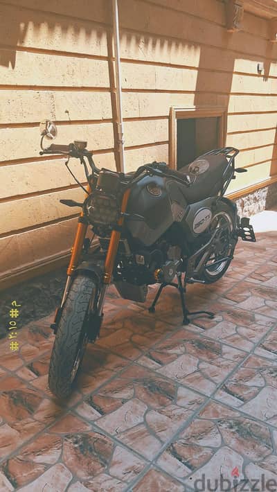موتسكل هوجن tx250
