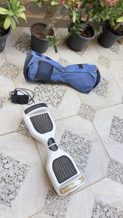 Hover board / balance weel