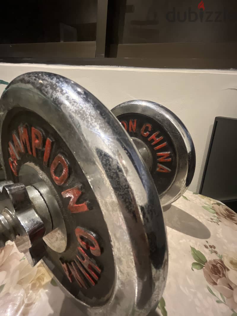 Good dumbbells 1