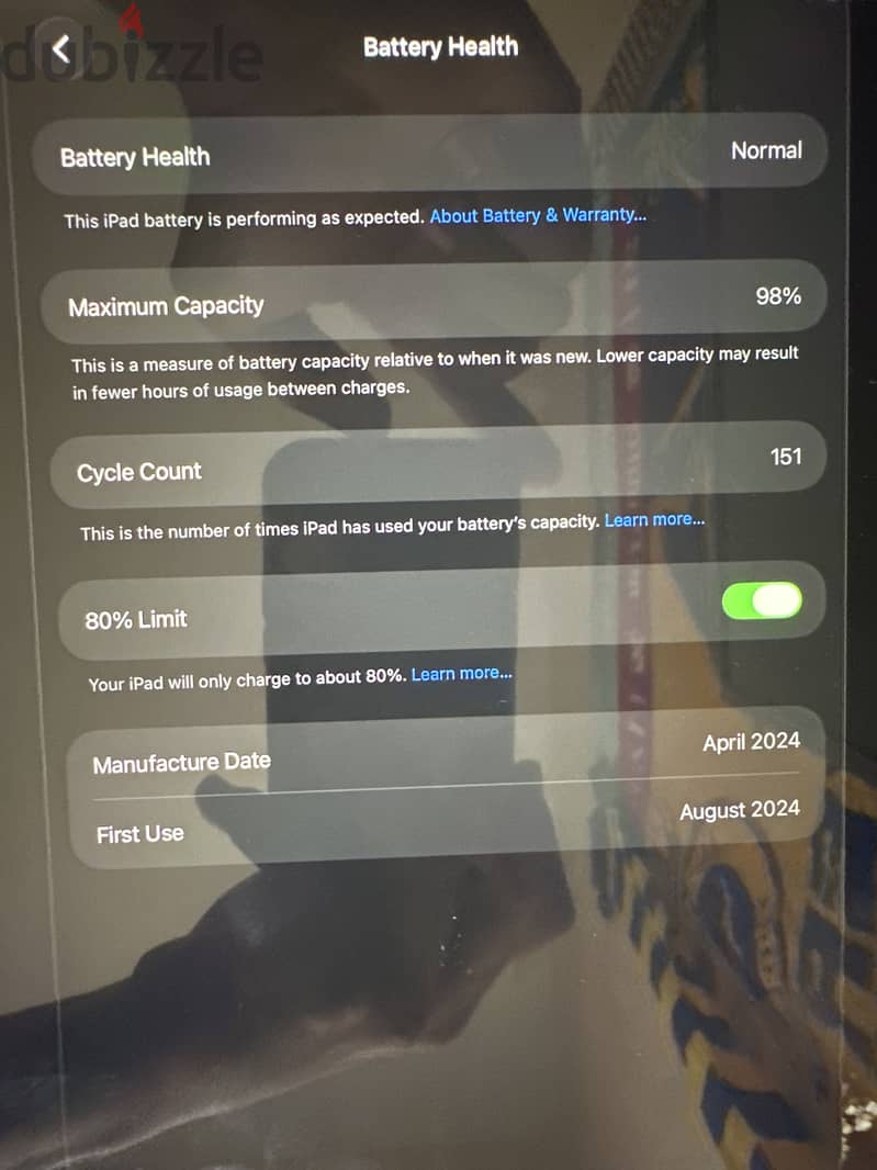 iPad M2 13inch 2