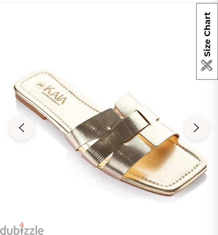 Slipper 1