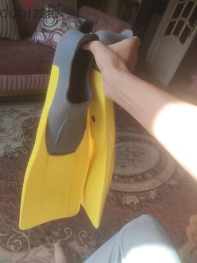 زعانف كليو