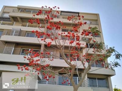 شقة 105 م للبيع في بالم هيلز كابيتال جاردنز المستقبل Palm Hills Capital Gardens Mostakbal City