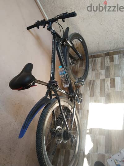 Road dragon 29