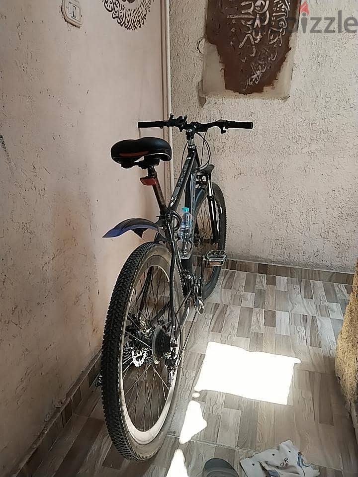 Road dragon 29 1