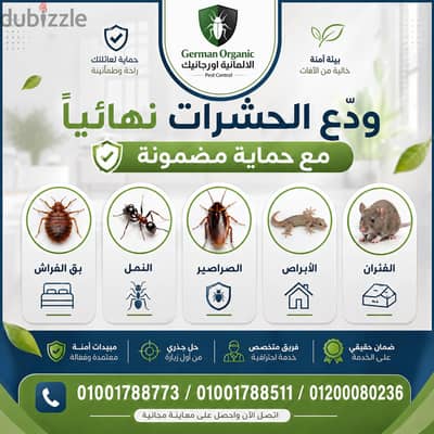 يلا نخلي الجاردن مكان للراحة يلا نخلي الجاردن مكان للراحة
