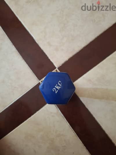 دامبل مستورد 2kg---70eg