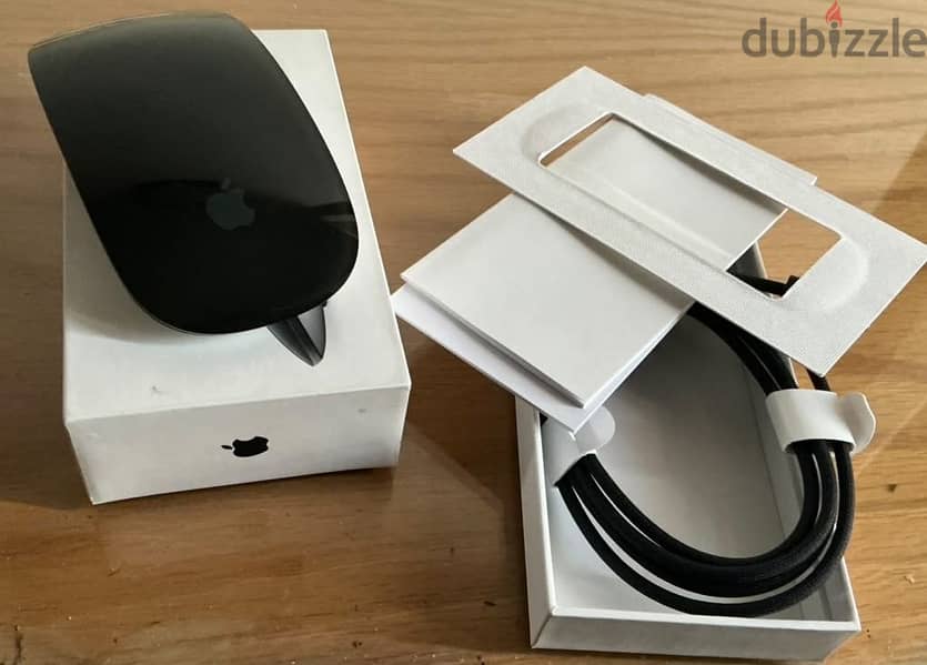 Magic mouse 1