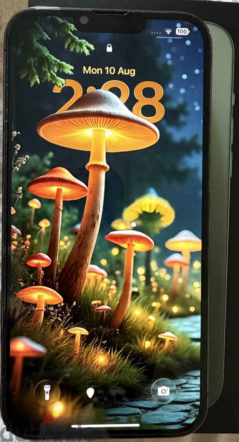 Apple - iPhone 13 Pro Max 3