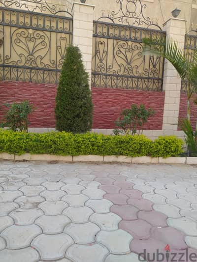 تربيزة واربع كراسىب3000 جنيه تربيزة واربع كراسىب3000 جنيه