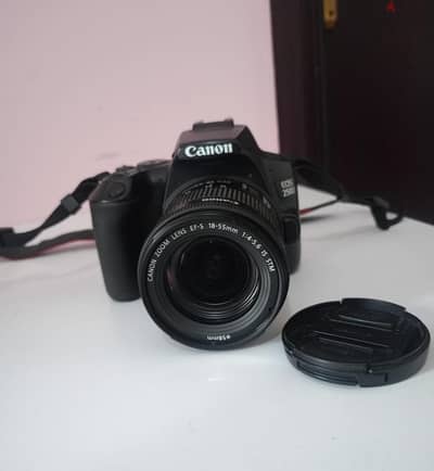 Canon 250 D