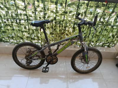 gecko mountain bike 20 inch aluminum