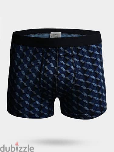 Boxer 4
