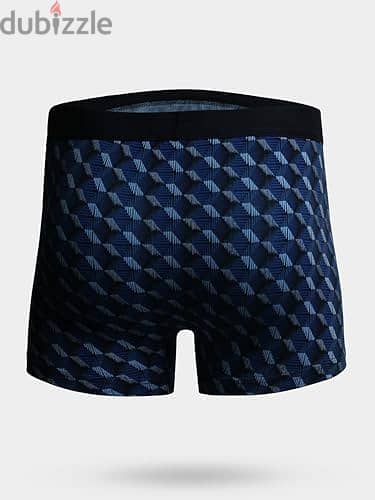 Boxer 5
