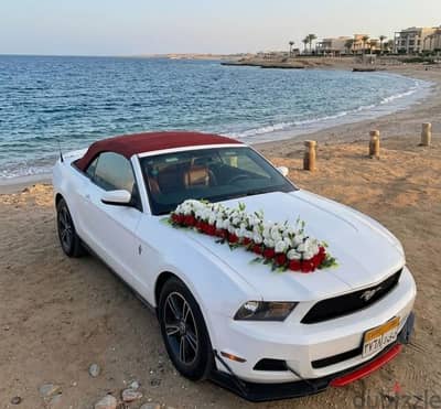 سيارات للإيجار