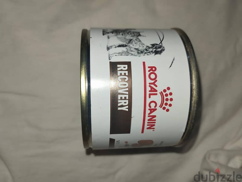 cat food 1