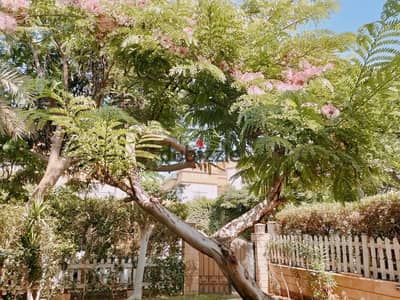 For sale in the City of Al-Rehab a four-room villa