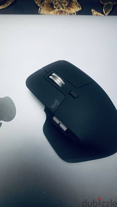 Mouse logetich