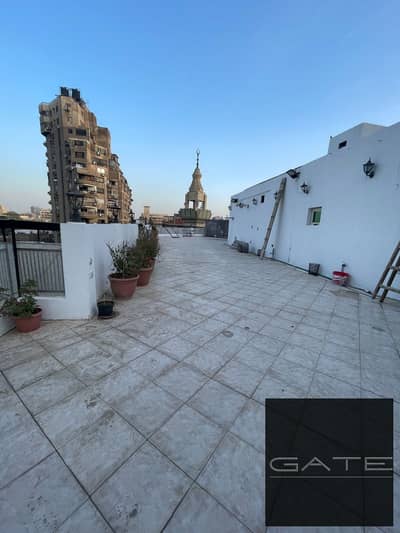 بنتهاوس للبيع بمساحات واسعه في الدقي شارع مصدق بسعر لقطه لسرعه البيع تشطيب الترا سوبر لوكس