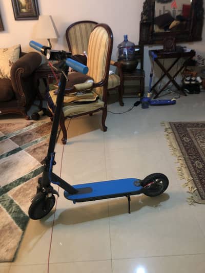 Scooter winnersky