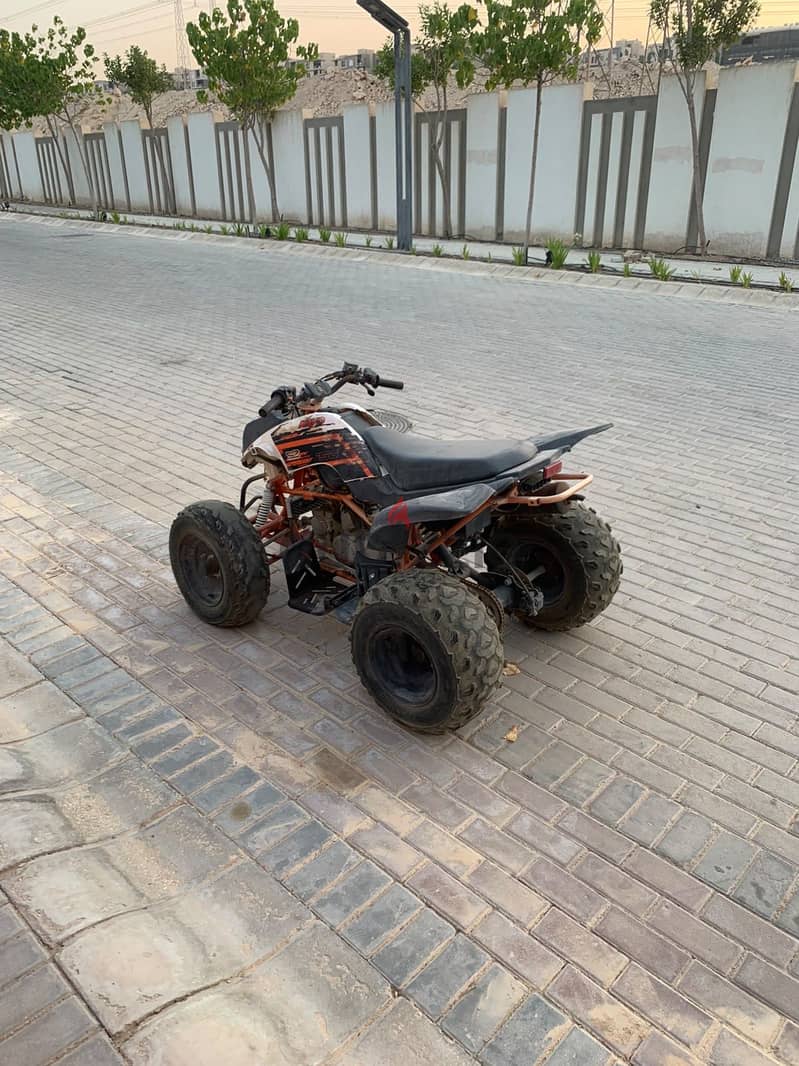 Beach buggy 3