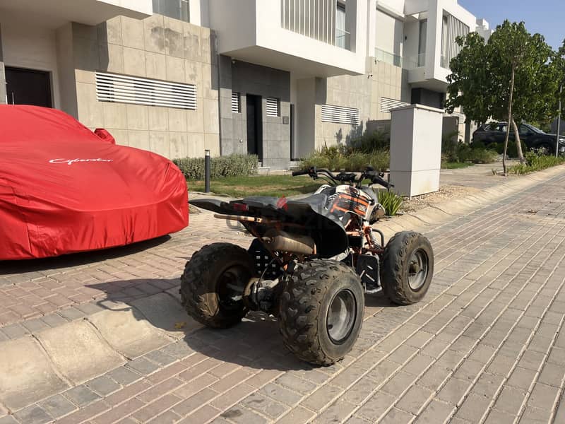 Beach buggy 5
