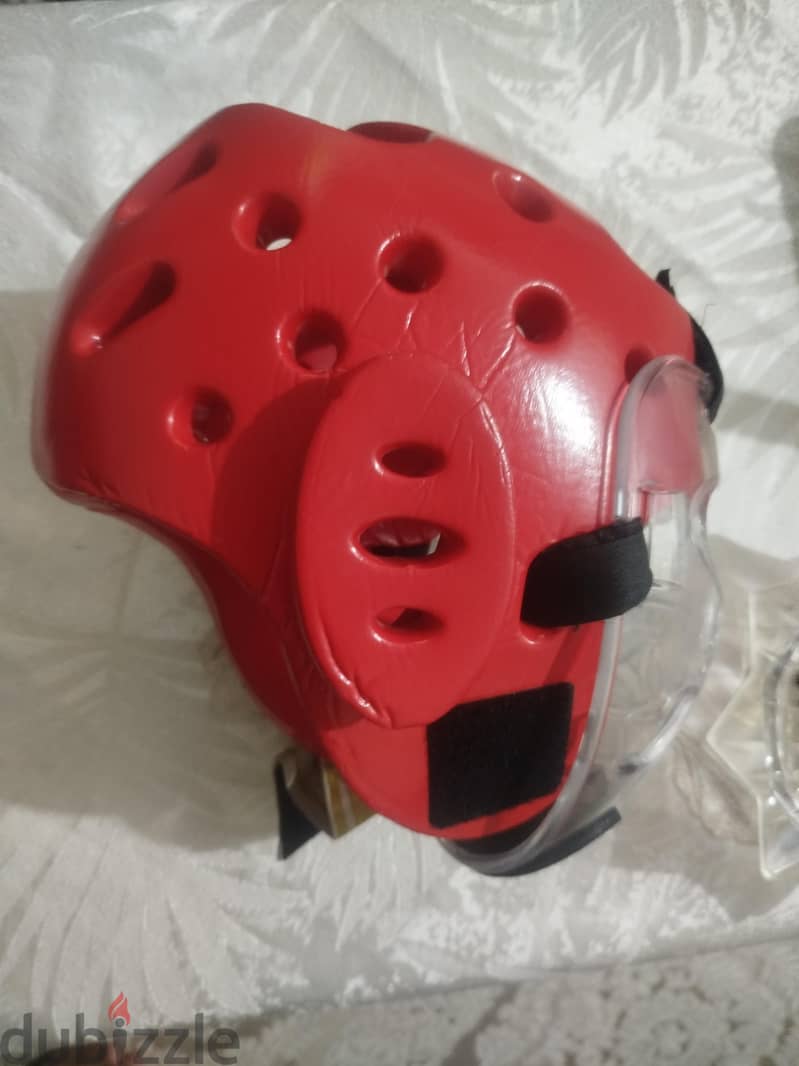 taekwondo head gaurd 2